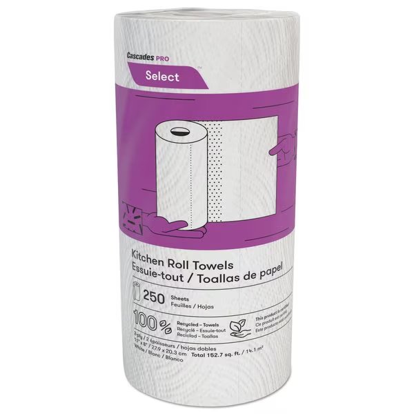 Select Perforated Roll Paper Towels, 2 Ply, 250 Sheets, 8